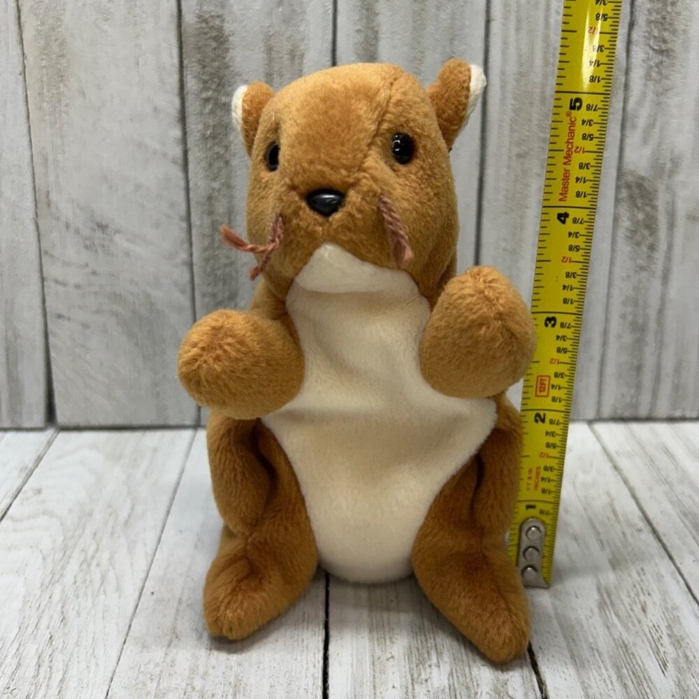 Vintage TY Beanie Baby Nuts The Squirrel Plush Stuffed Animal Toy 1996 - Picture 8 of 8